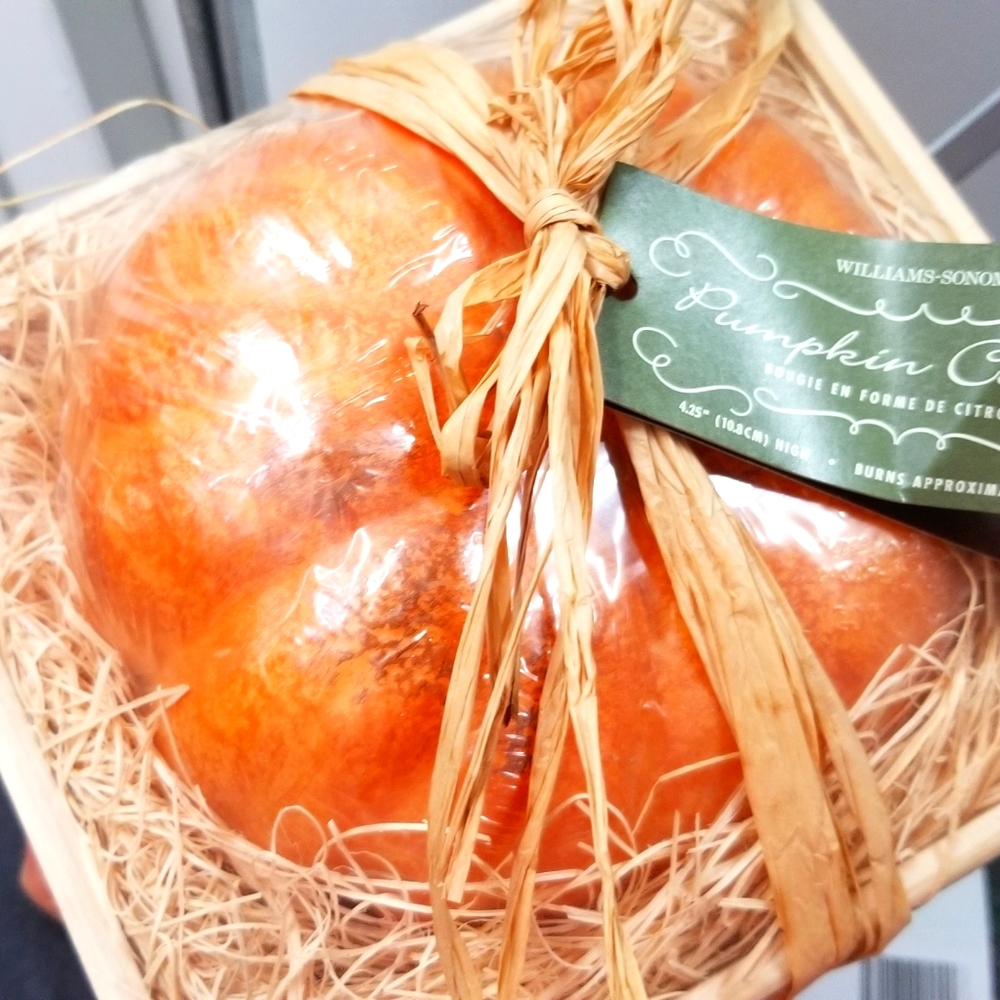 Williams Sonoma Hand Painted Pumpkin Shaped Candle